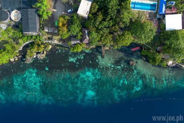 Almira Diving Resort, Bohol