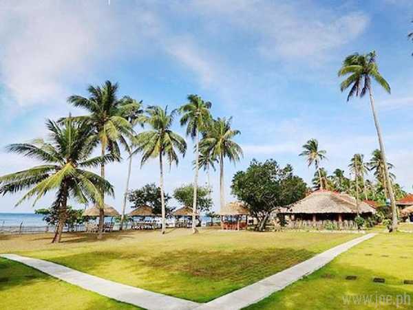 Dancalan Beach Resort, Donsol