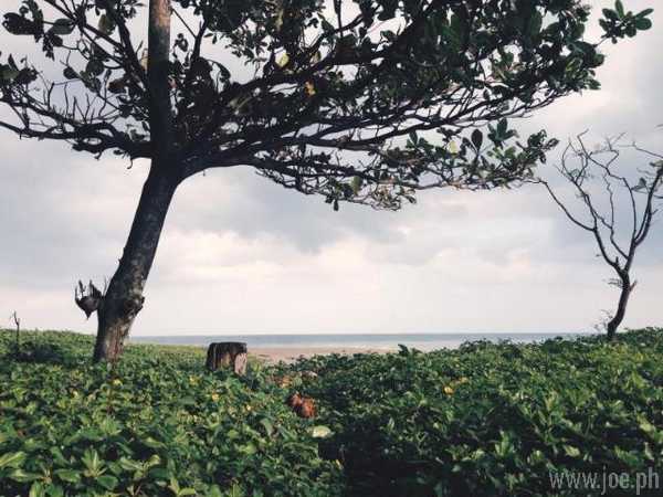 Pannzian Beach Resort, Ilocos Norte