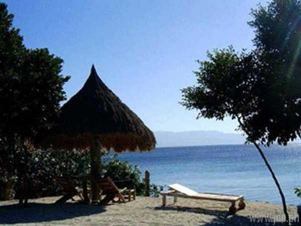 Sea Turtle House, Cebu