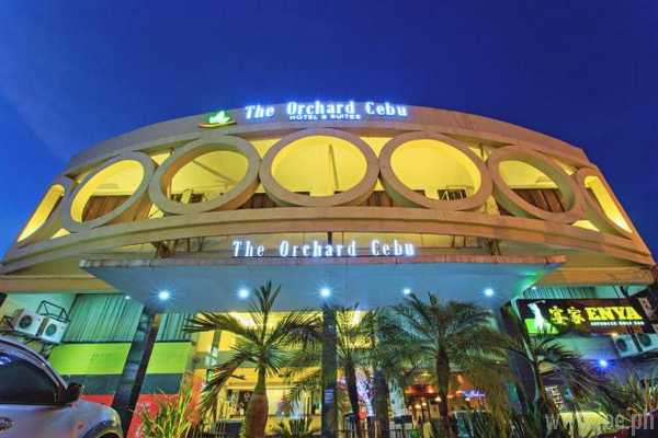 The Orchard Cebu Hotel & Suites powered by Cocotel, Cebu