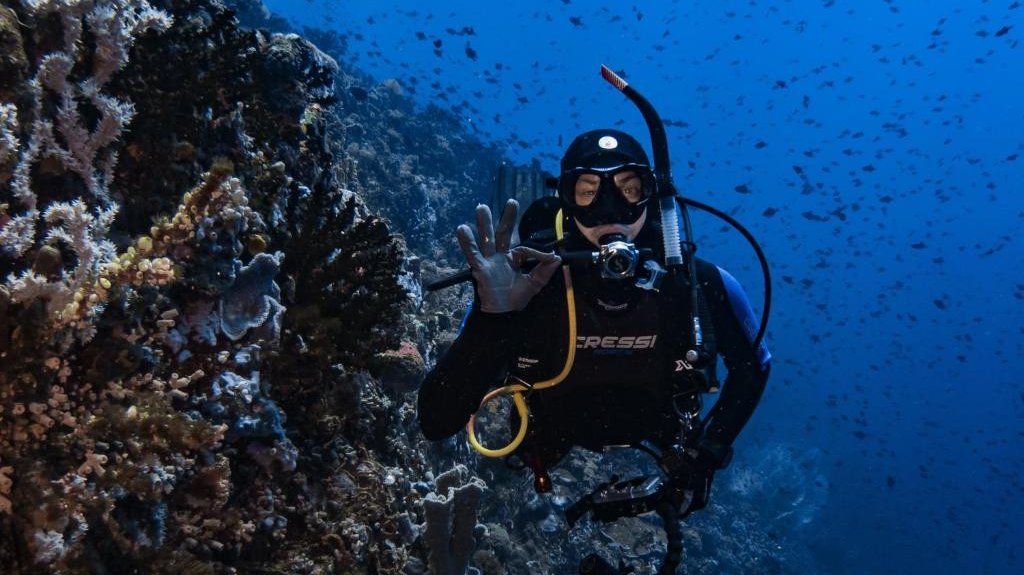 Badladz Beach Resort Hotel Puerto Galera