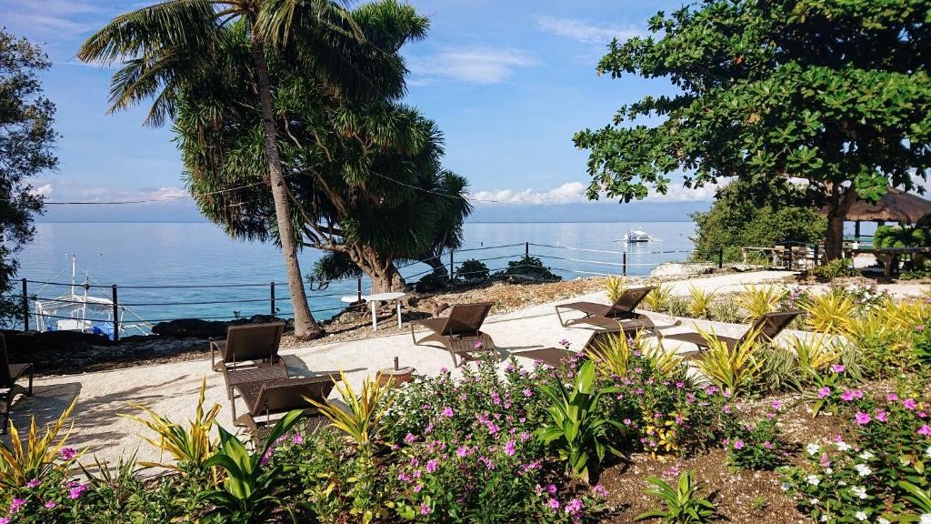Cebu Seaview Dive Resort, Moalboal