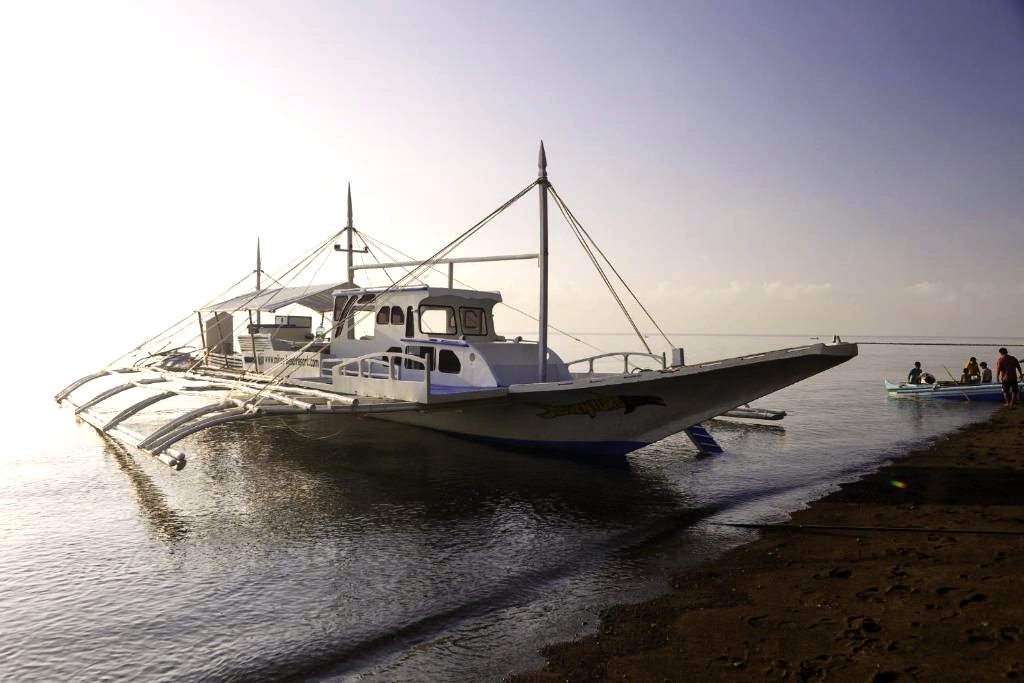 Mike's Dauin Dive Resort Dumaguete