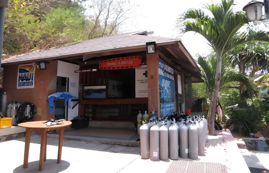 Planet Dive in Batangas