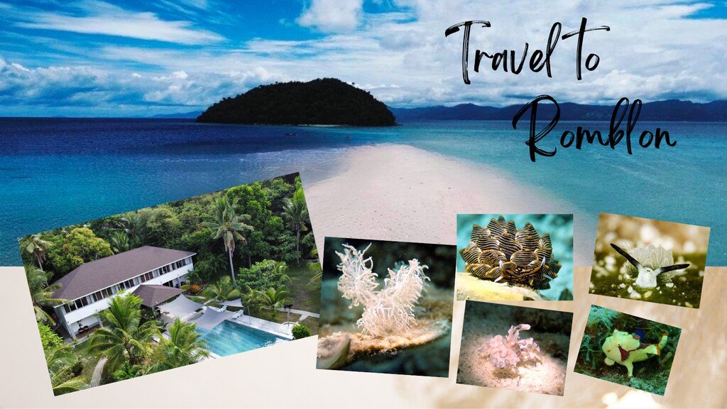 Sunset Cove Beach and Dive Resort Romblon