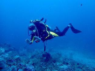 Blue Lagoon Dive Resort, Puerto Galera